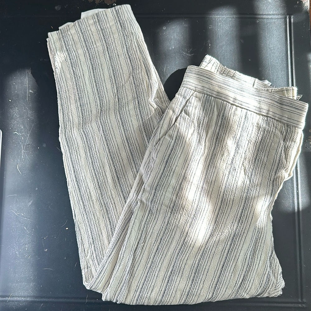 Banana Republic Hayden Pant